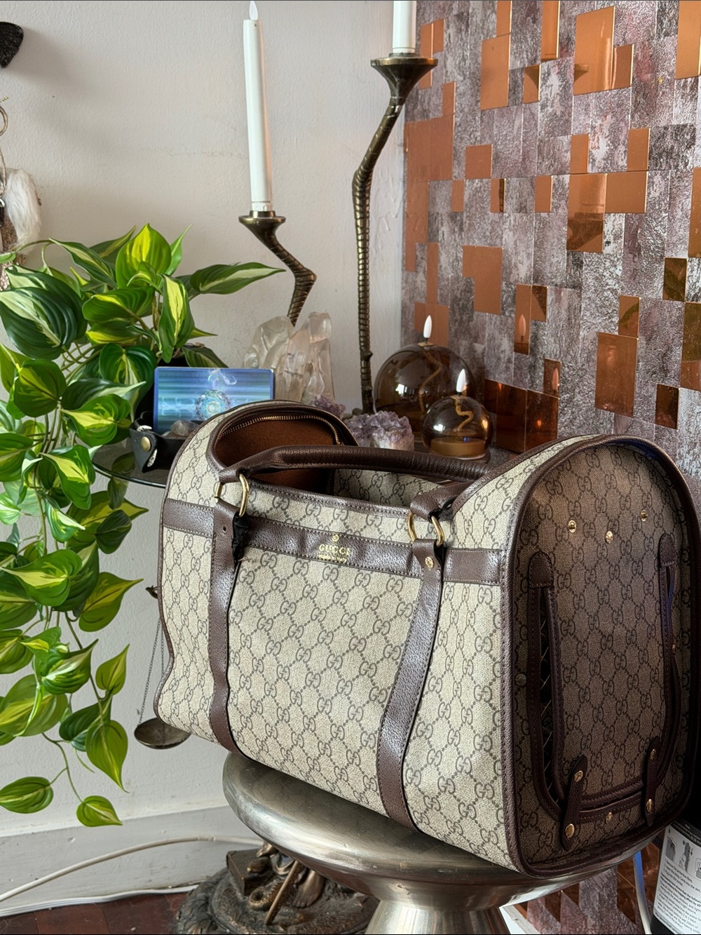 ✨ Beautiful pet Carrier, Leash, Leather luggage tag, Dust bag